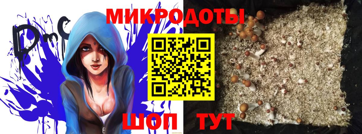 Галлюциногенные грибы Magic Shrooms  Вход с VPN  Полысаево  Галлюциногенные грибы прущие грибы 