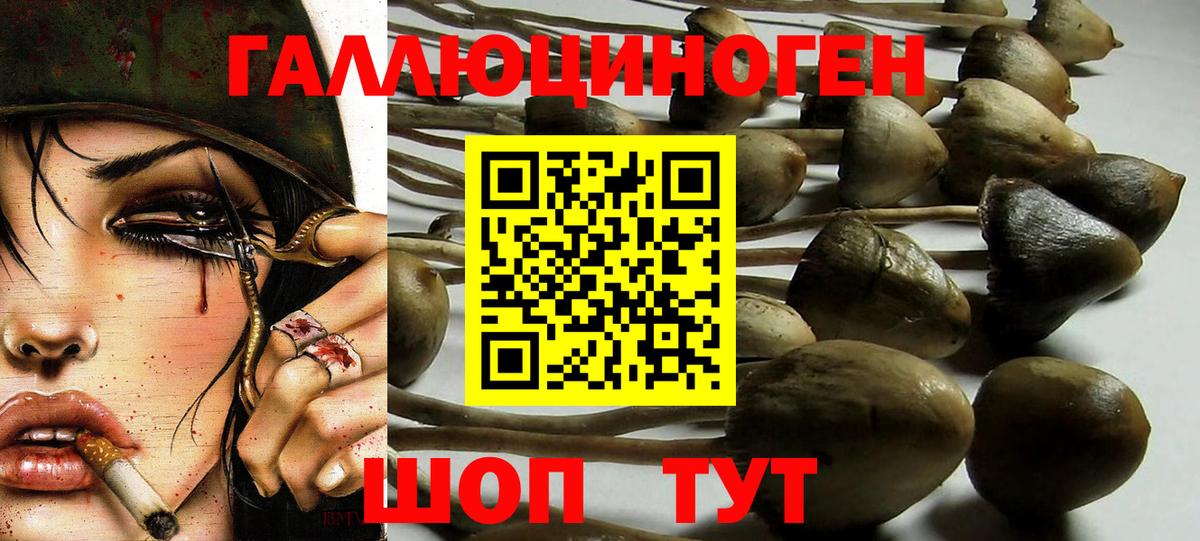 Псилоцибиновые грибы Magic Shrooms Полысаево