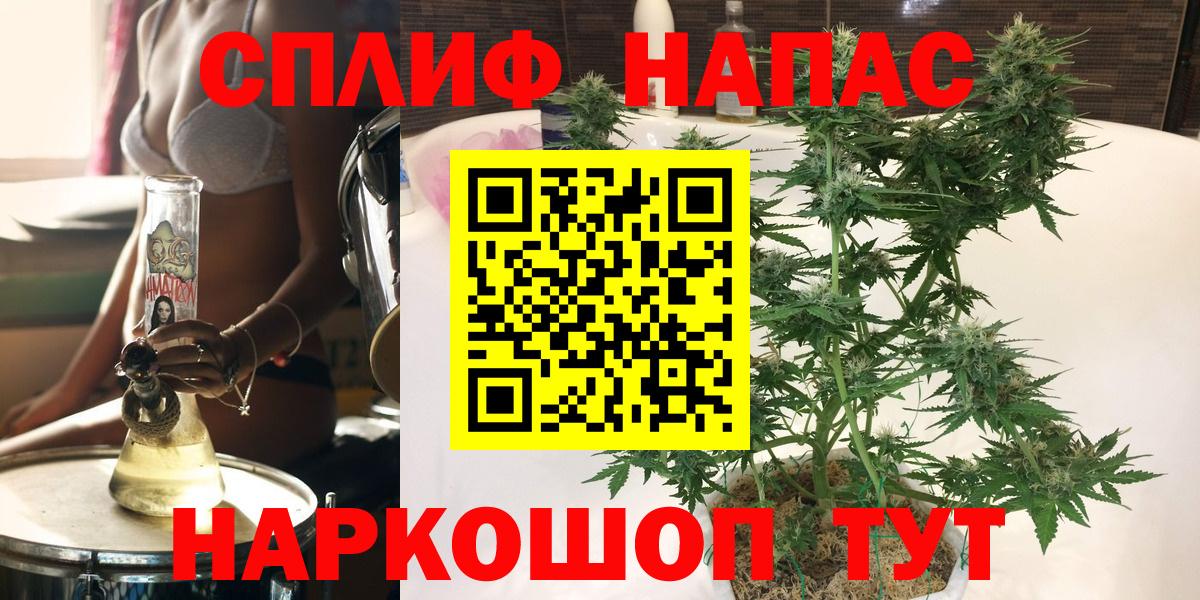 Каннабис сатива Полысаево